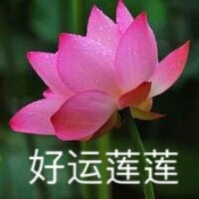 20倍界王神拳游戏下载